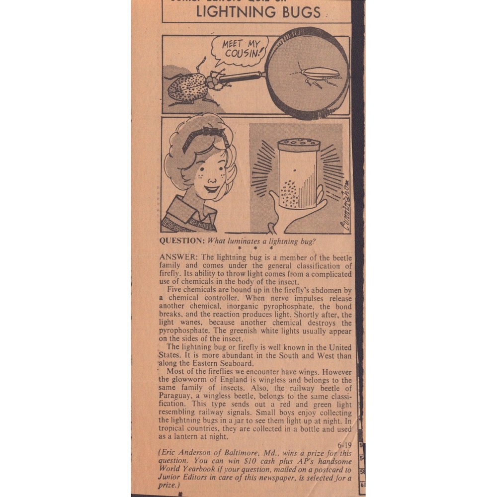 12 Vintage Junior Editors Quiz Newspaper Clippings Science Nature Ephemera Lot - Picture 10 of 14